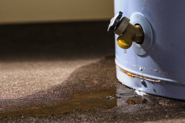 Best 24/7 water damage repair  in Tunnel Hill, GA