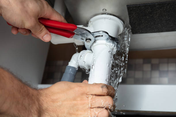 Best Flooded house restoration  in Tunnel Hill, GA