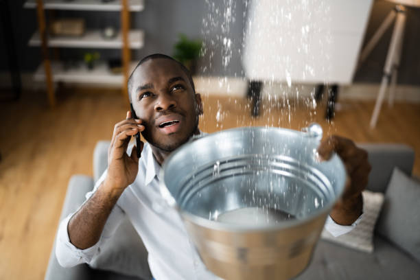 Best Professional water damage repair  in Tunnel Hill, GA