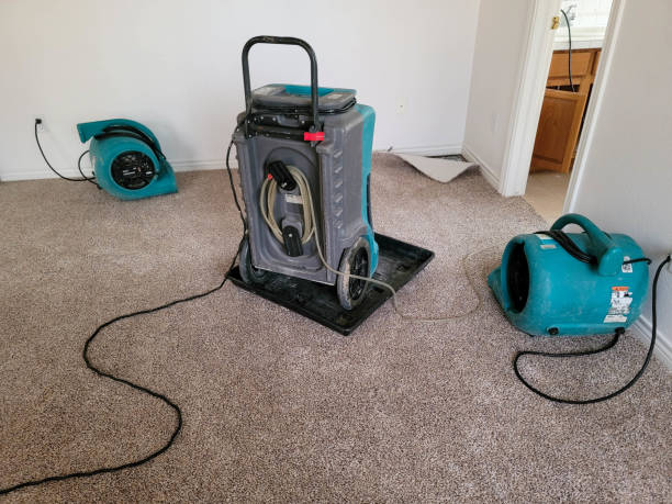 Best Sewage cleanup and water damage restoration  in Tunnel Hill, GA