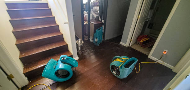 Carpet water damage restoration in Tunnel Hill, GA