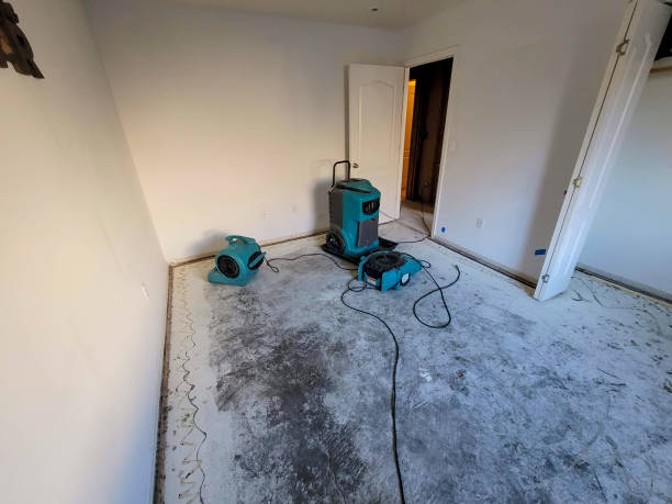 Best Carpet water damage restoration  in Tunnel Hill, GA