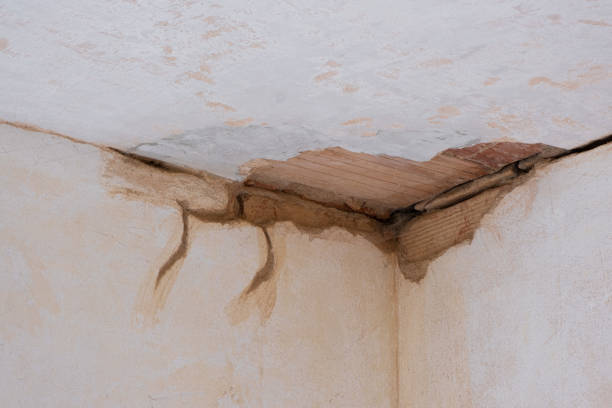 Best Fire Damage Restoration  in Tunnel Hill, GA