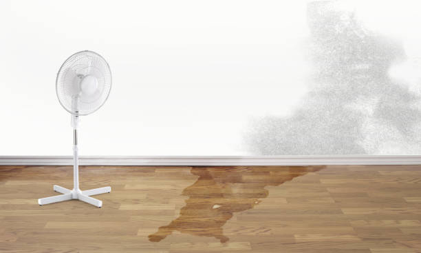 Best Water damage restoration near me  in Tunnel Hill, GA