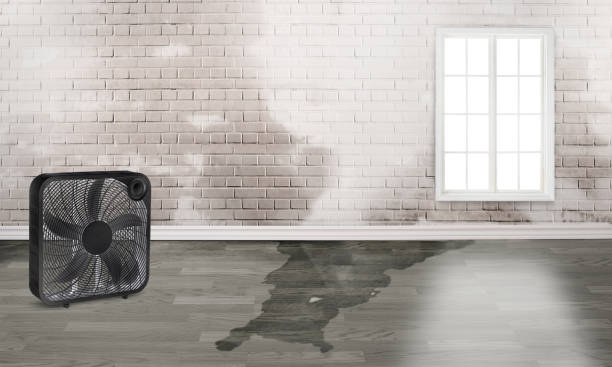 24/7 water damage repair in Tunnel Hill, GA