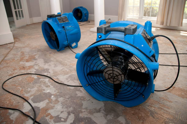 Water damage restoration experts in Tunnel Hill, GA