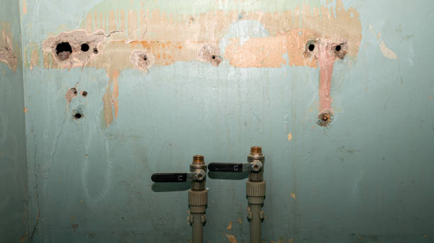  Tunnel Hill, GA Water damage restoration Pros