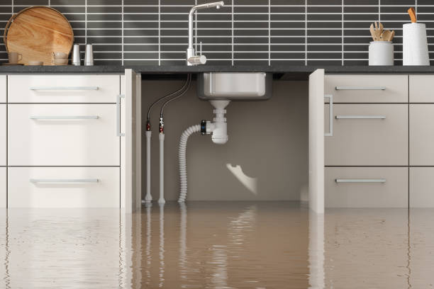 Best Commercial water damage restoration  in Tunnel Hill, GA