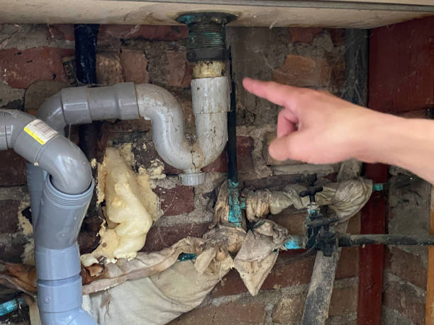 Best Basement water damage restoration  in Tunnel Hill, GA